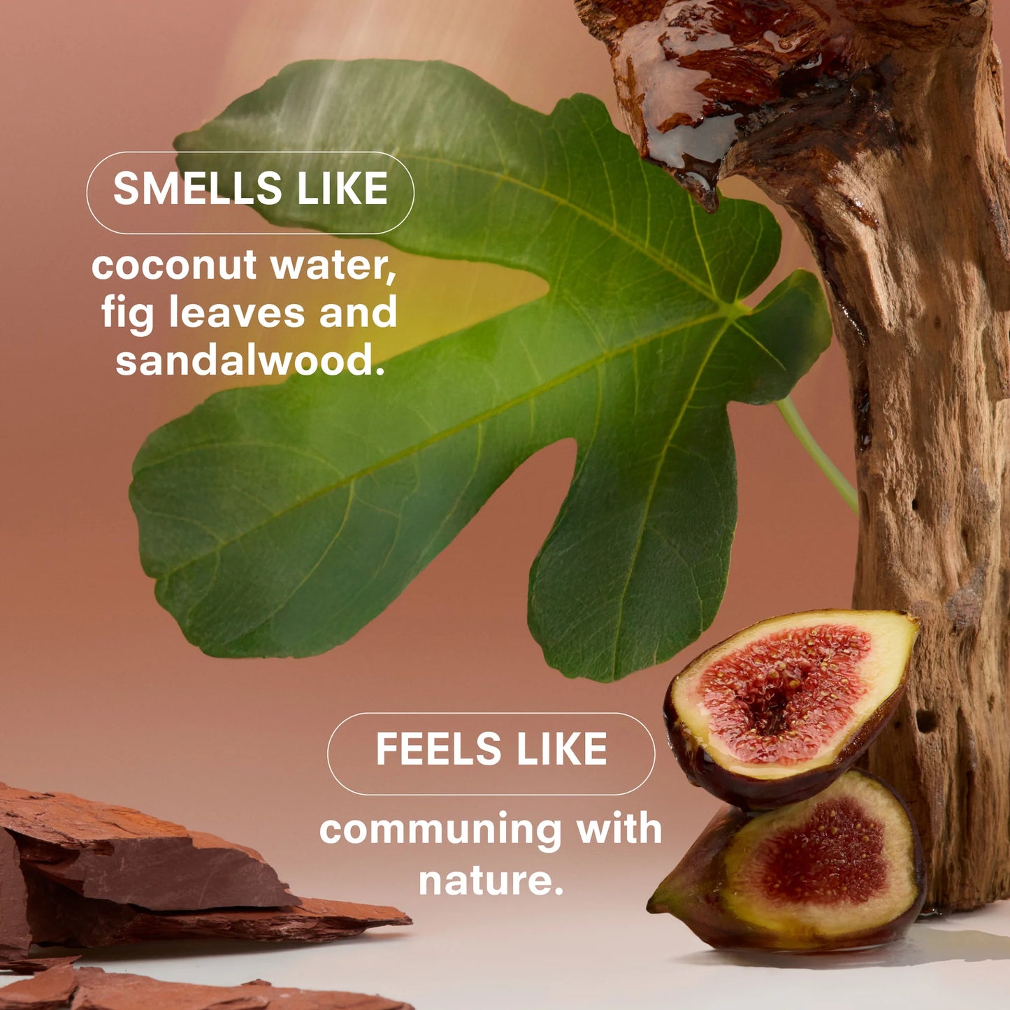 Boy Smells - Woodphoria