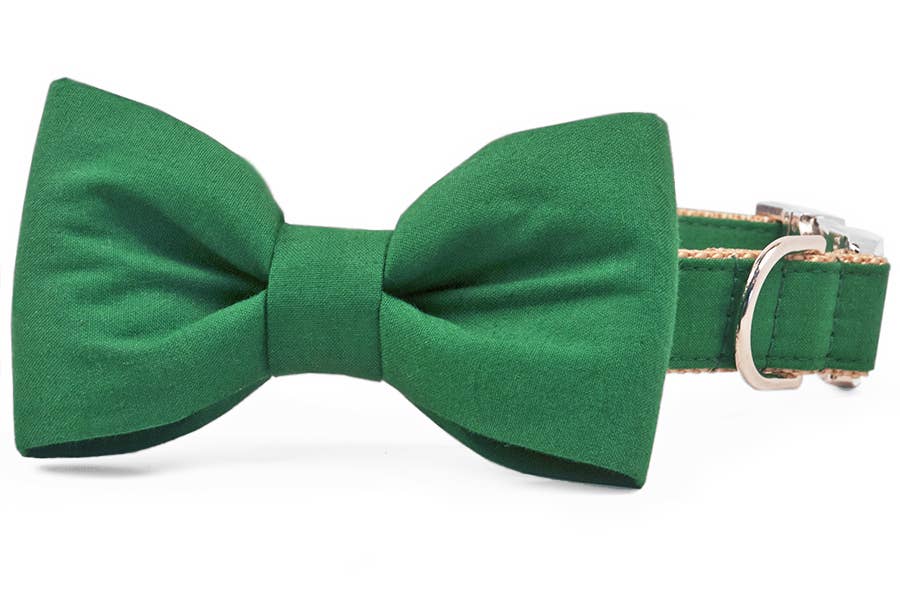 Crew LaLa - Kelly Green Bow Tie Dog Collar