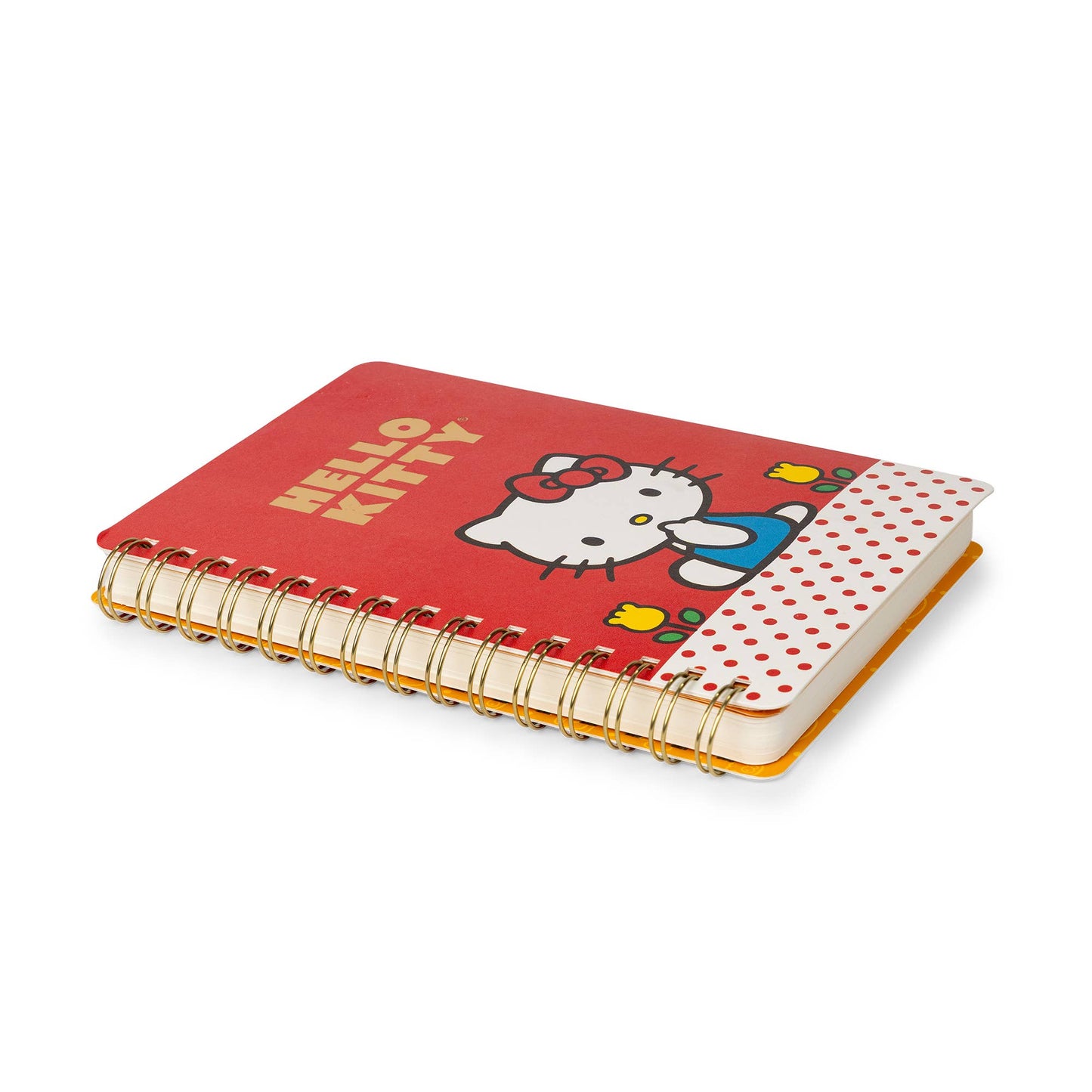Retro Hello Kitty Agatha Notebook