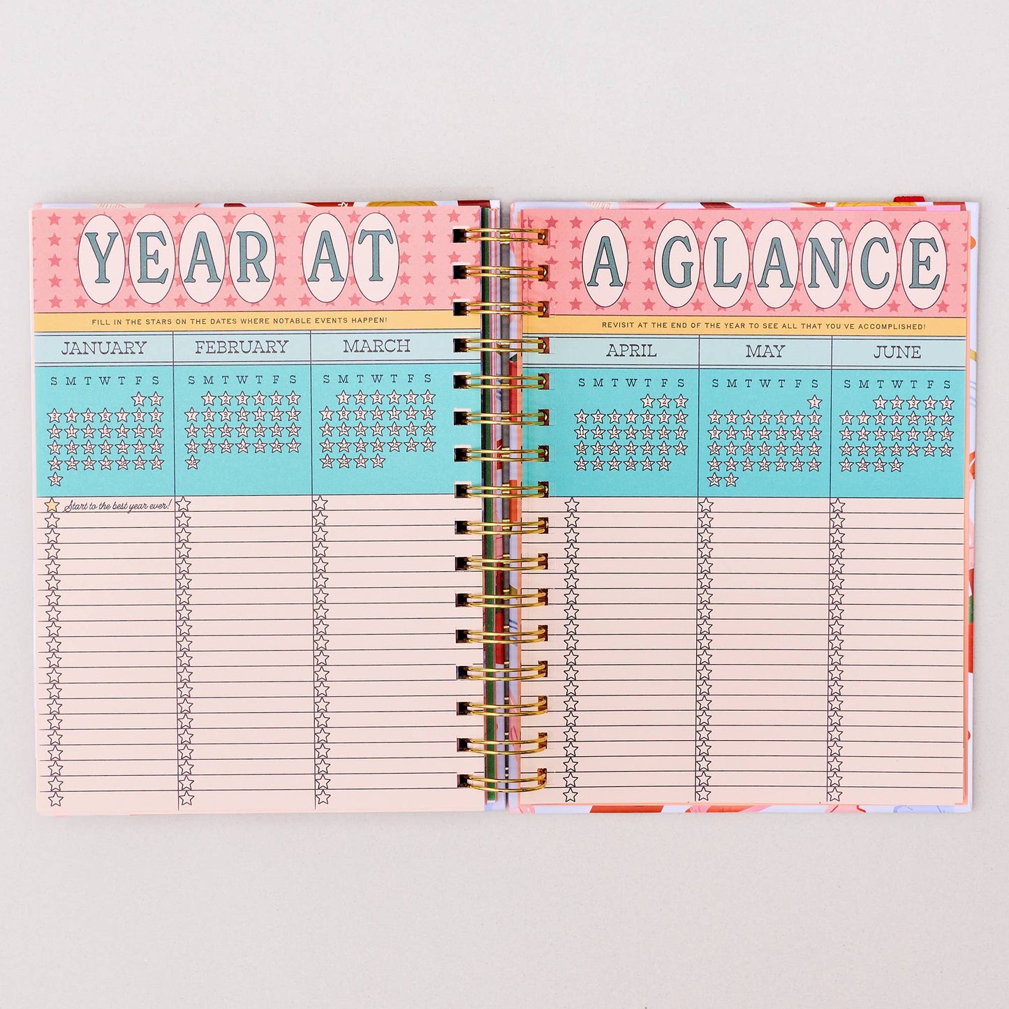 17-Month Academic Planner - Medium Oil Paint Floral