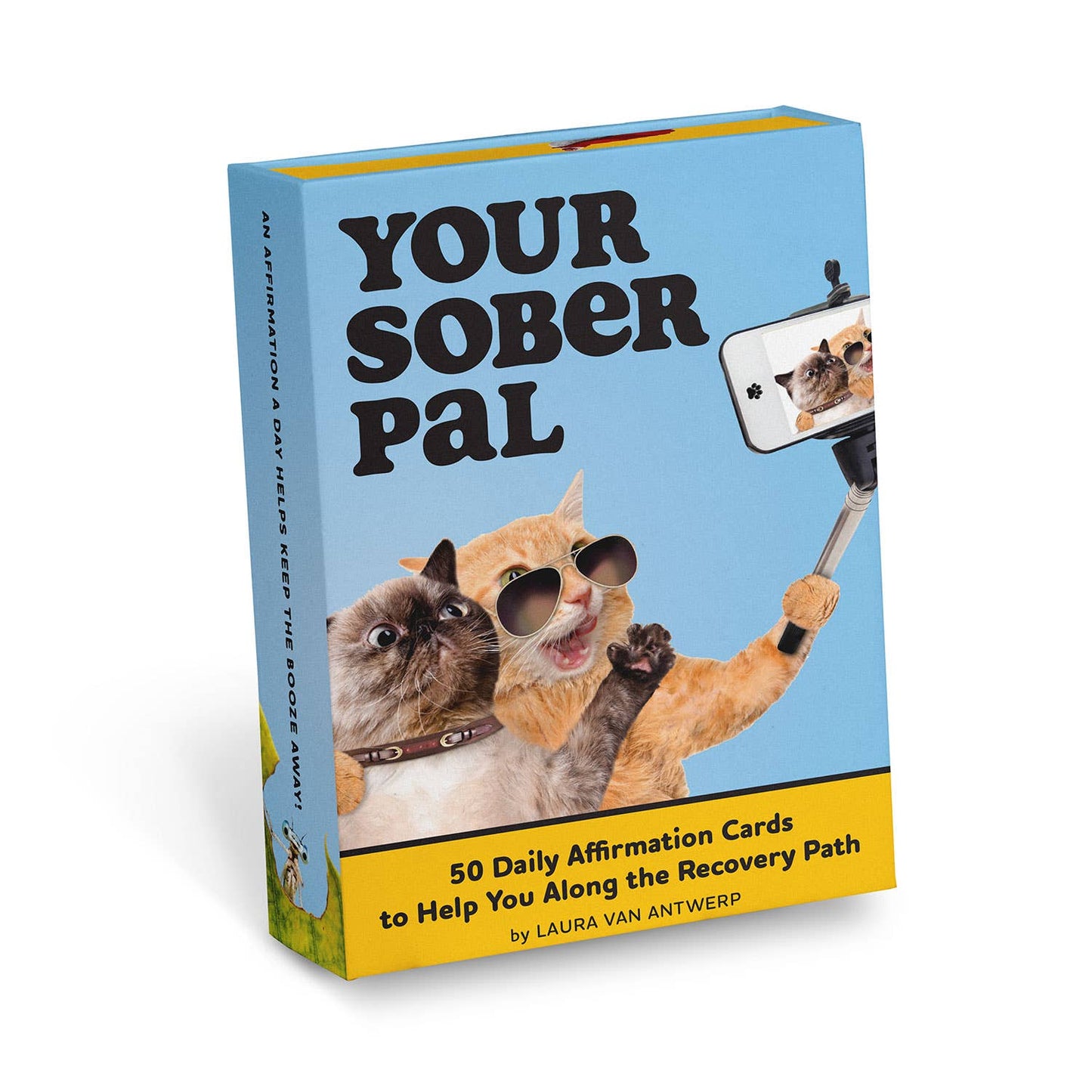 Your Sober Pal Deck