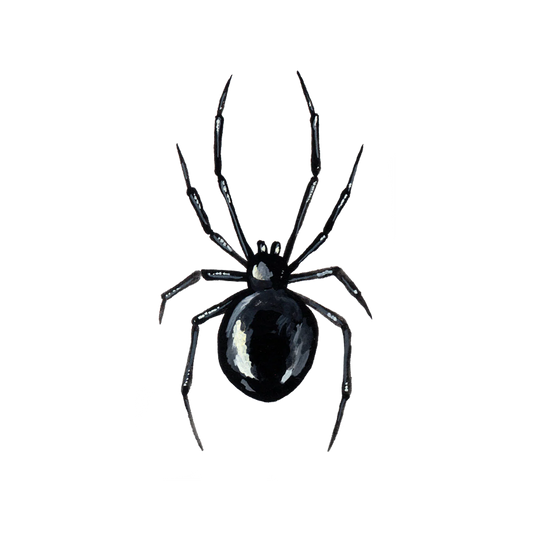 Black Widow Tattoo - Set of 2