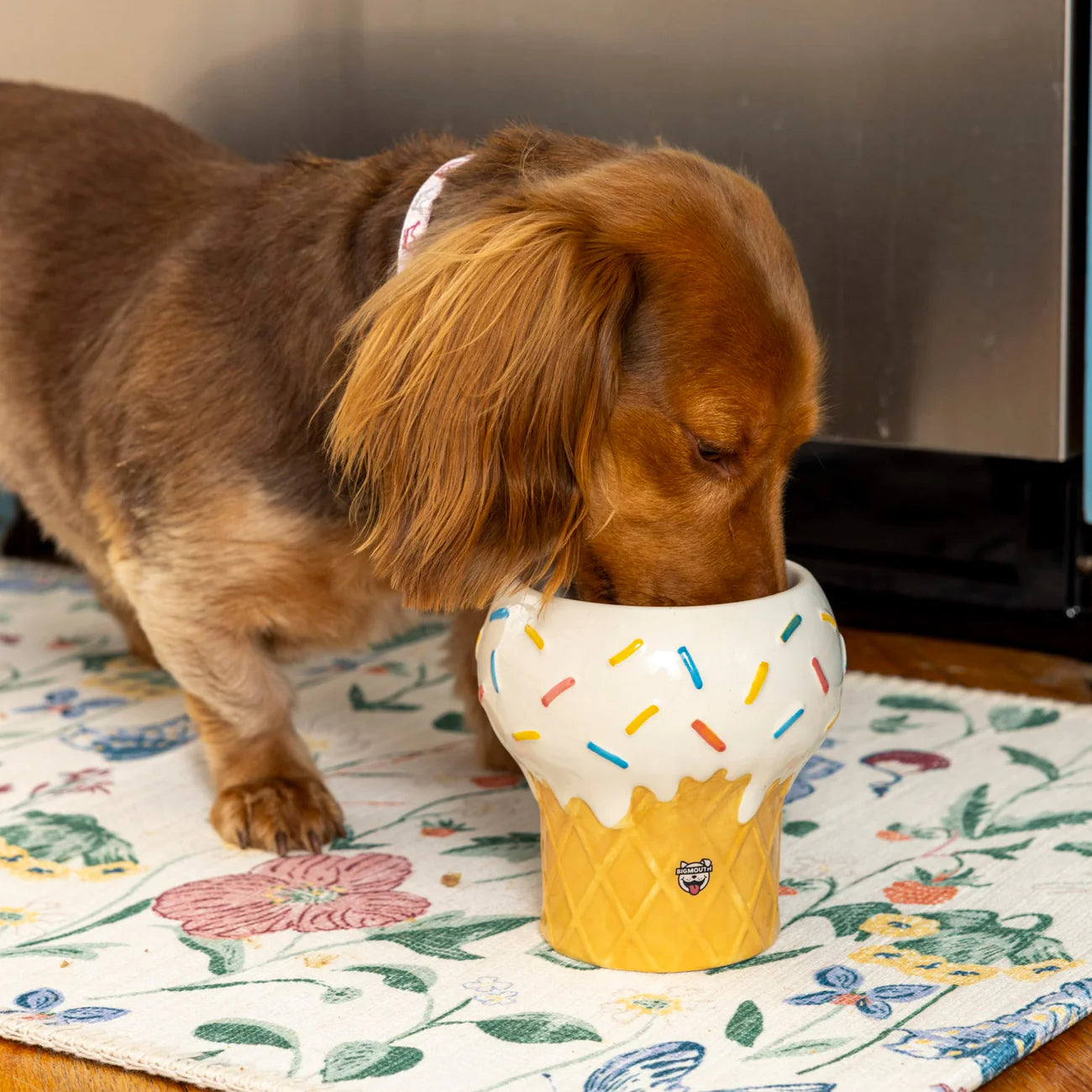 Ice Cream Pet Bowl