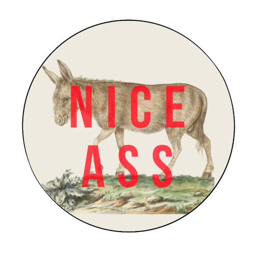Nice Ass Sticker