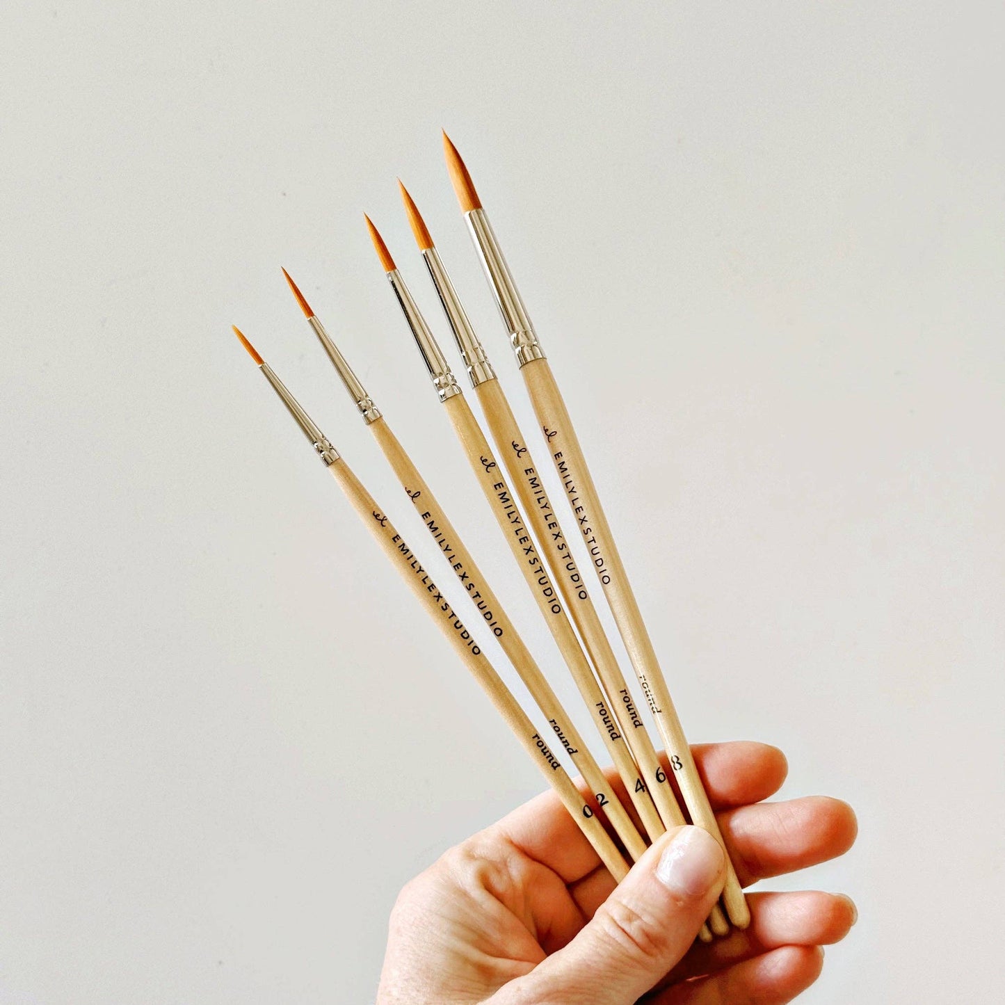 Watercolor paintbrush - Set of 5