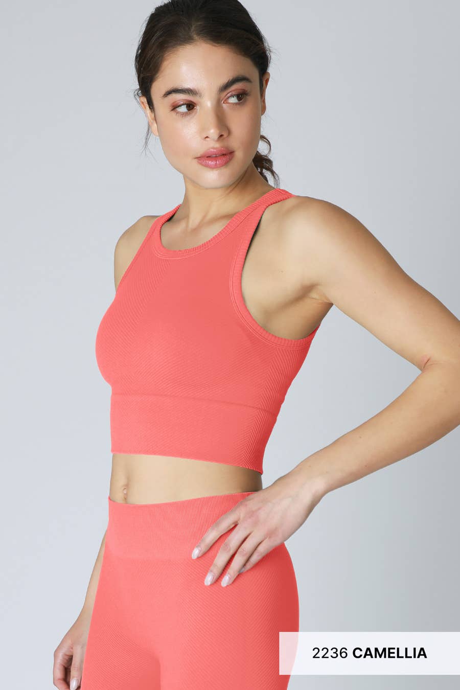 Chevron Highneck Crop Top: Serene Blue