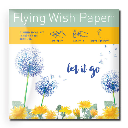 Wish-Making Kit - Let it Go