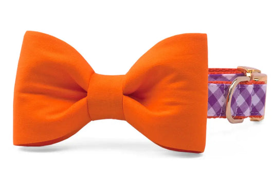 Crew LaLa - Clemson Gameday Bow Tie Collar