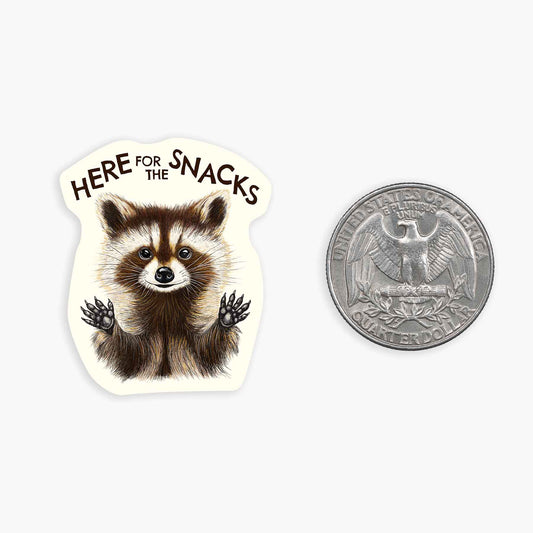 Raccoon Snacks - Mini Sticker