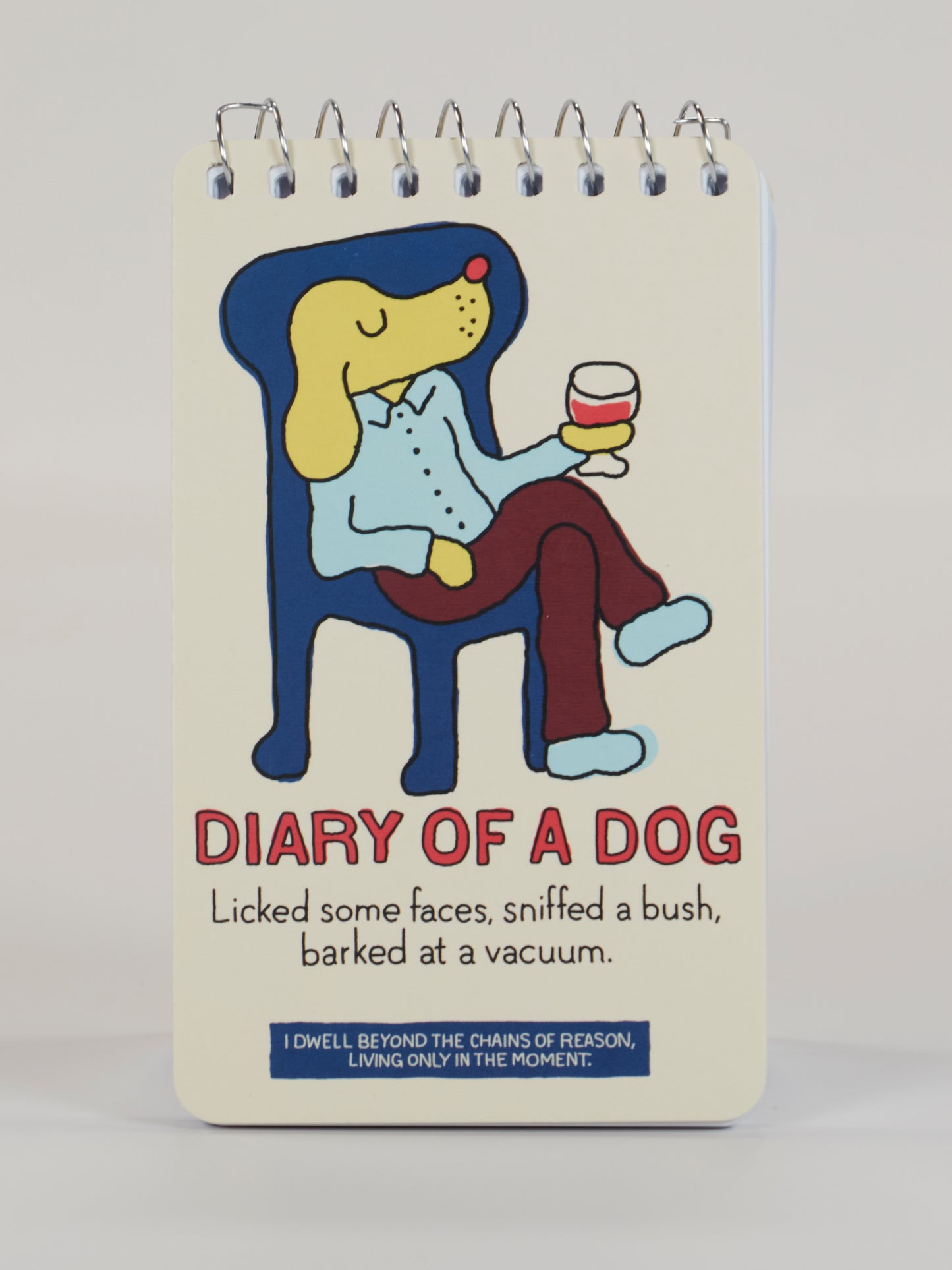 Blue Q Spiral Notebooks