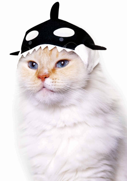 Cat Cap Blind Box-Aquarium