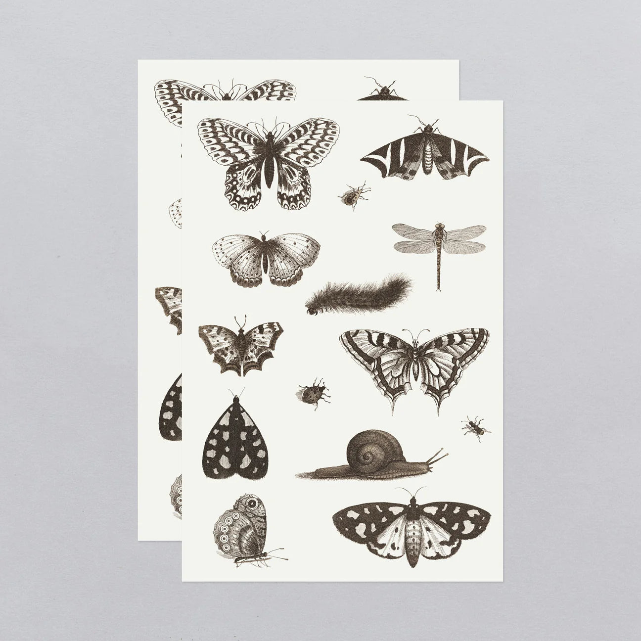 Insects Tattoo Sheet - Set of 2