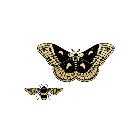 Winged Duo Tattoo - Set of 2