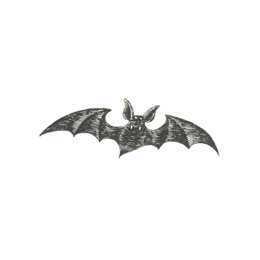 Vampire Bat Tattoo - Set of 2