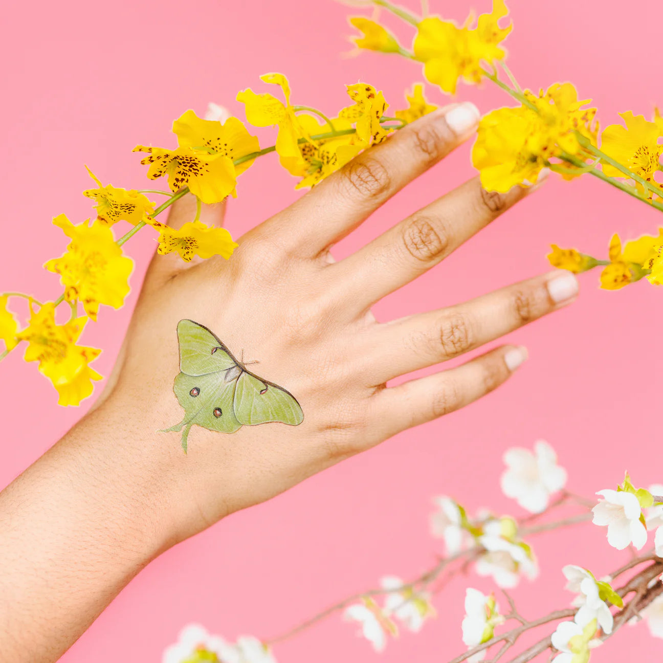 Tiny Butterfly Tattoo Tin - Set of 10