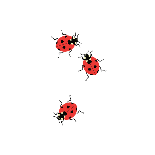 Ladybugs Tattoo - Set of 2