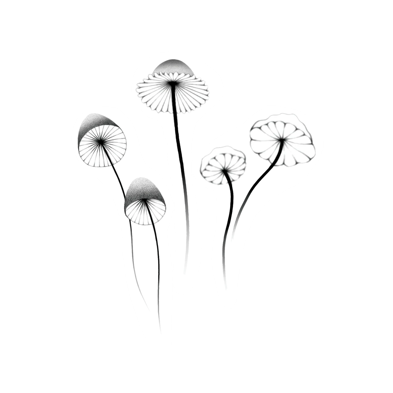 Mushrooms Tattoo - Set of 2