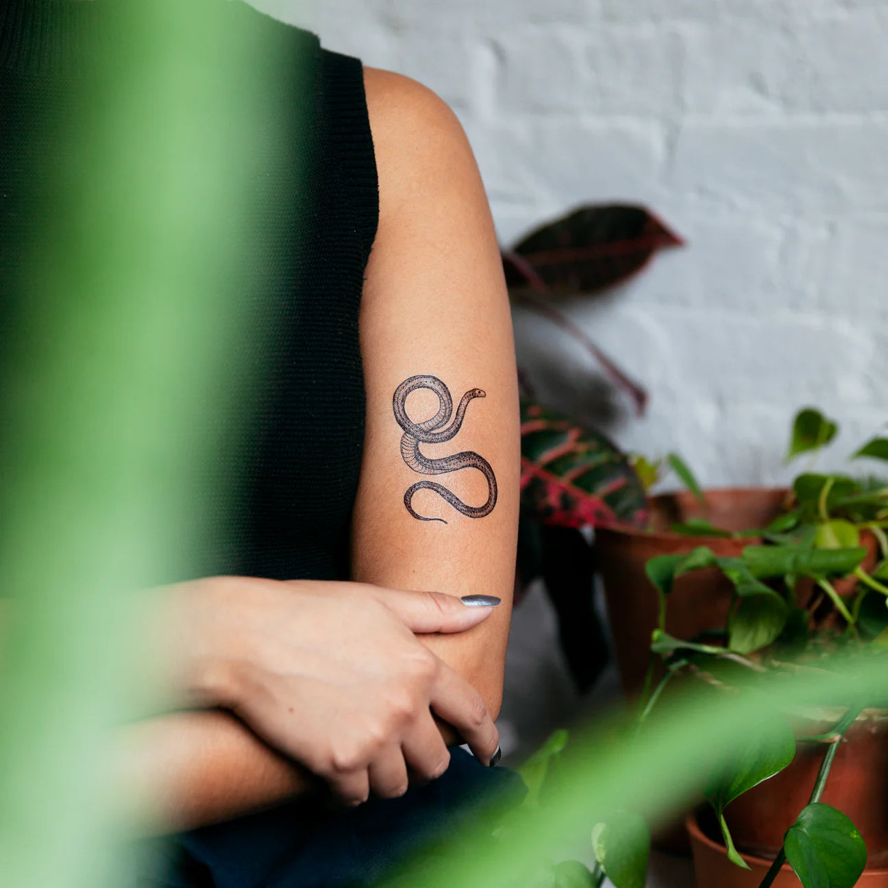 Tattly Tattoo - Thumbnail 5