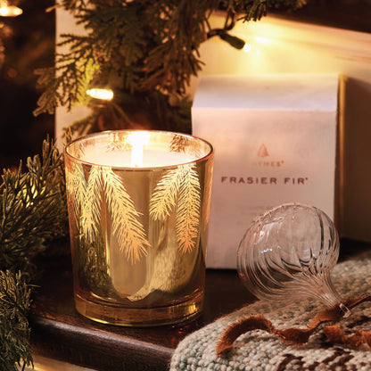 Frasier Fir Gilded 13 oz Candle