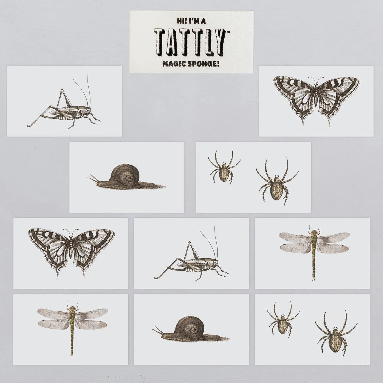 Tattly NGA Insects Tattoo - Thumbnail 3