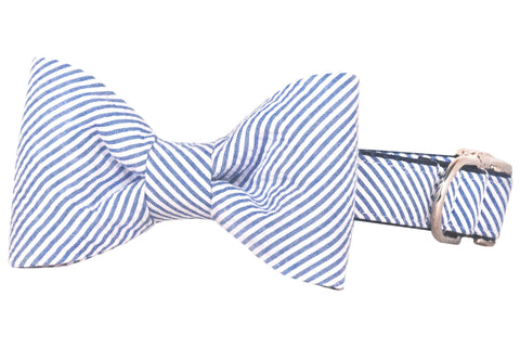 Crew LaLa - Blue Seersucker Bow Tie Dog Collar