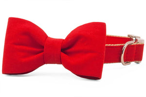 Crew LaLa - Scarlet Red Bow Tie Dog Collar