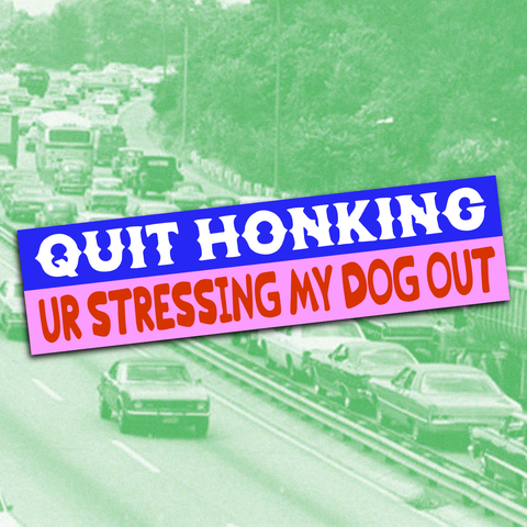 QUIT HONKING UR STRESSING MY DOG OUT Bumper Sticker