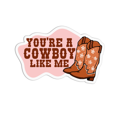 Taylor Swift You're a Cowboy Stickers