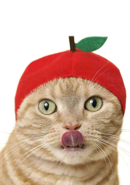 Cat Cap Blind Box - Fruit