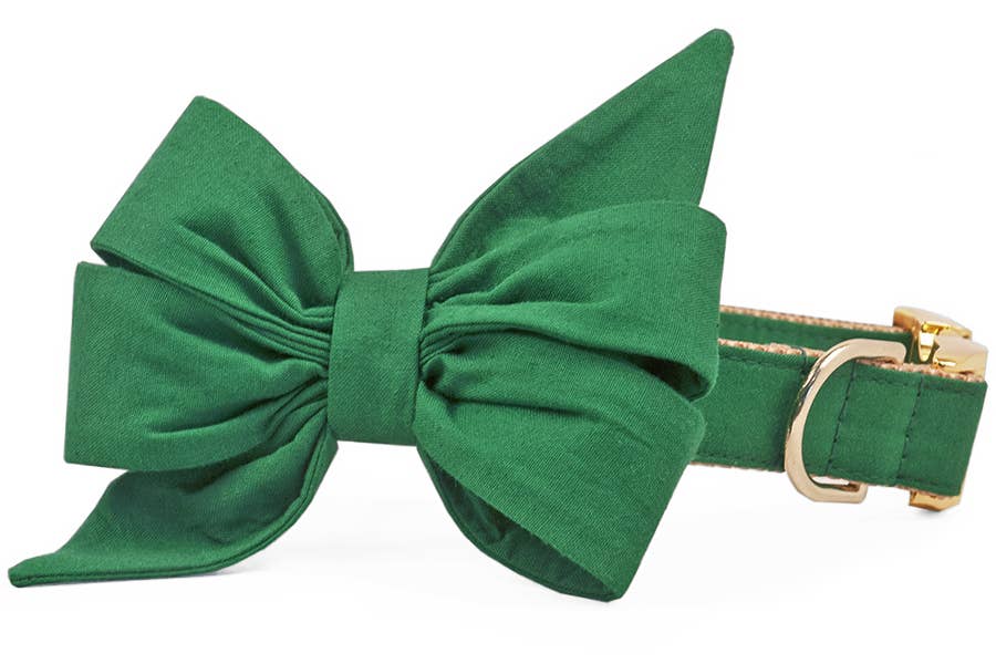 Kelly Green Belle Bow Dog Collar - Crew LaLa