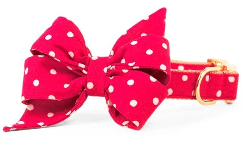 Crew Lala - Ivory Dot on Ruby Red Canvas Belle Bow Dog Collar